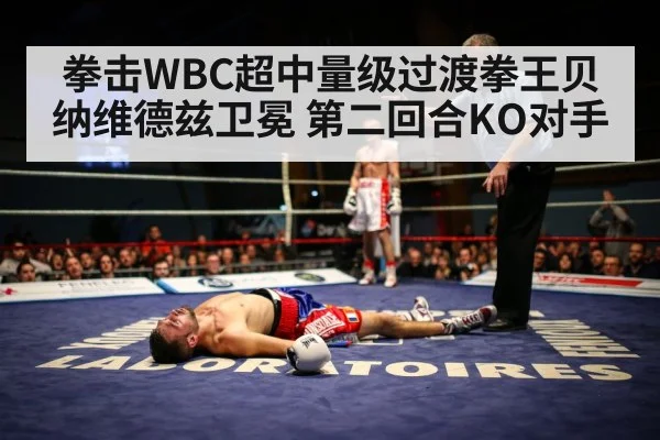拳击WBC超中量级过渡拳王贝纳维德兹卫冕 第二回合KO对手